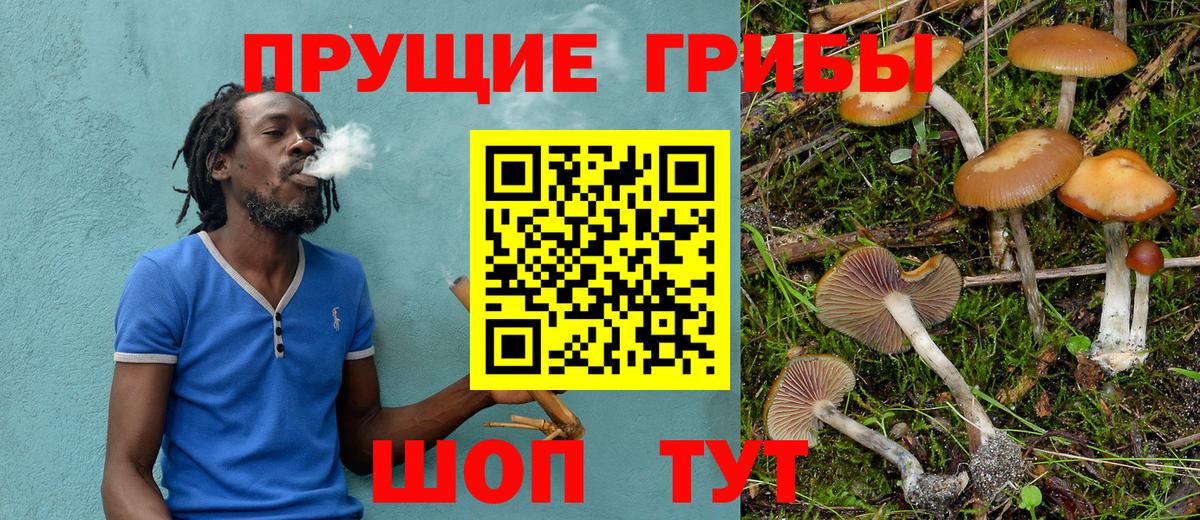 Кириши  Псилоцибиновые грибы Magic Shrooms  Вход с VPN 